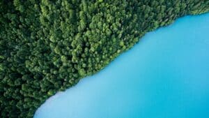 Lire la suite à propos de l’article Green IT : Comment Réduire l&rsquo;Empreinte Environnementale de Votre Infrastructure Réseau