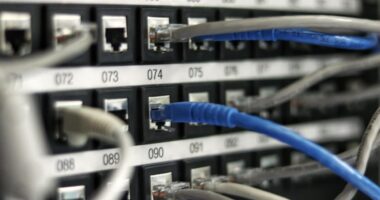 SDN (Software-Defined Networking) : Comprendre et Exploiter le Réseau Programmable